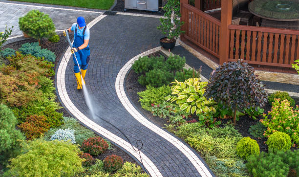 Best Pressure Washing Near Me  in Albany, LA